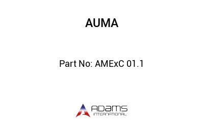 AMExC 01.1