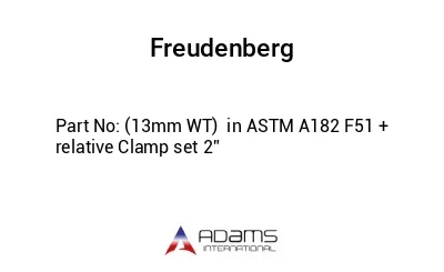 (13mm WT)  in ASTM A182 F51 + relative Clamp set 2”