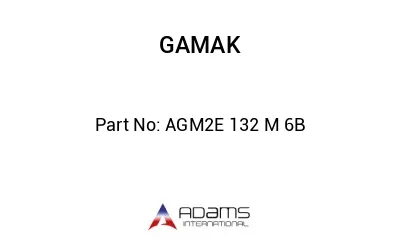 AGM2E 132 M 6B