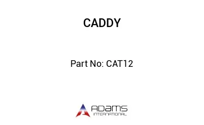 CAT12