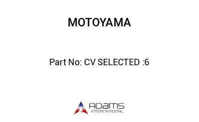 CV SELECTED :6