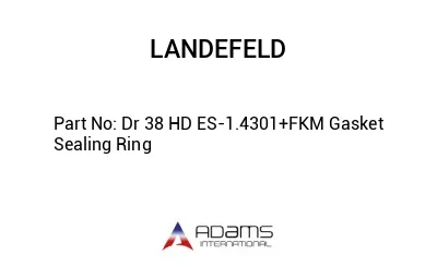 Dr 38 HD ES-1.4301+FKM Gasket Sealing Ring