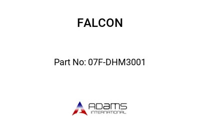 07F-DHM3001