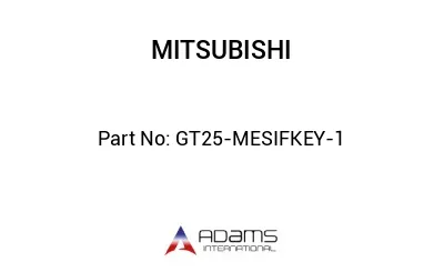 GT25-MESIFKEY-1