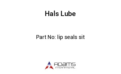 lip seals sit