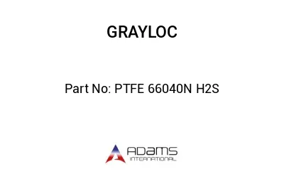 PTFE 66040N H2S