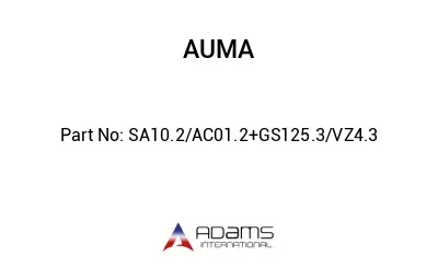 SA10.2/AC01.2+GS125.3/VZ4.3