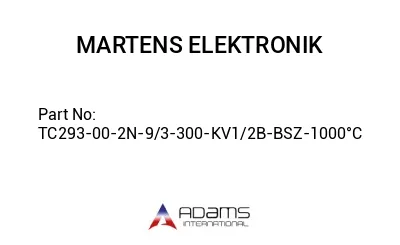 TC293-00-2N-9/3-300-KV1/2B-BSZ-1000°C