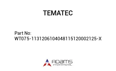 WT075-1131206104048115120002125-X